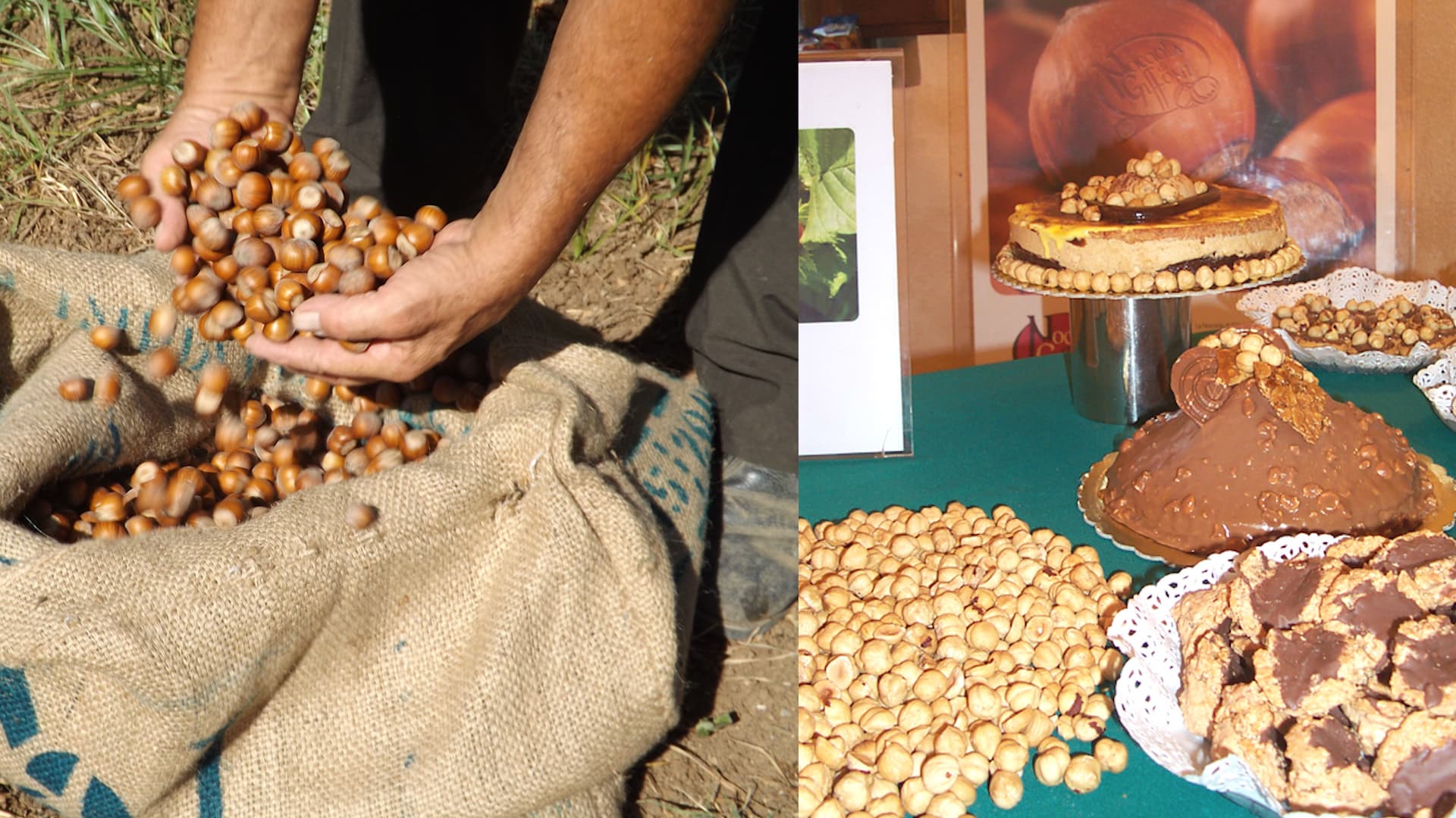 L'importanza della dieta mediterranea e il rapporto con il territorio: l'esempio del GAL Colline Salernitane